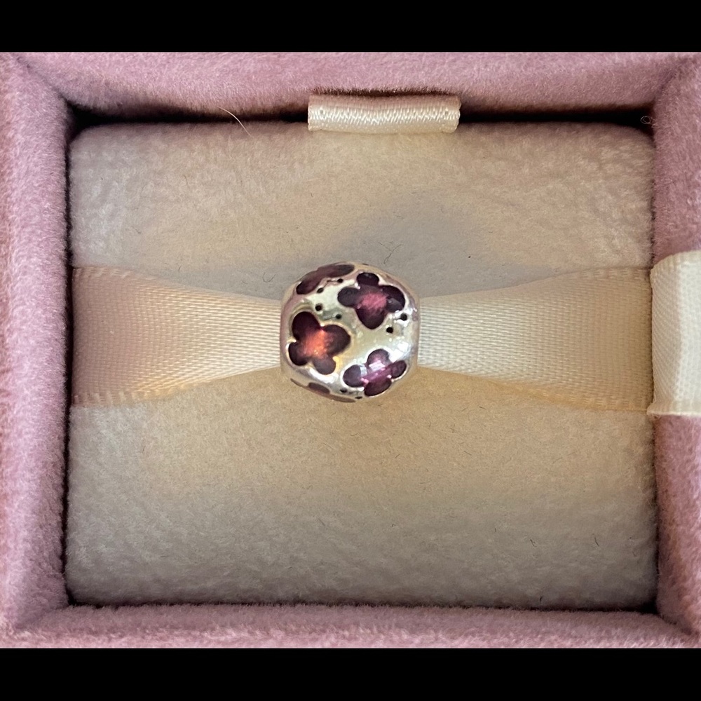 Pandora Charm